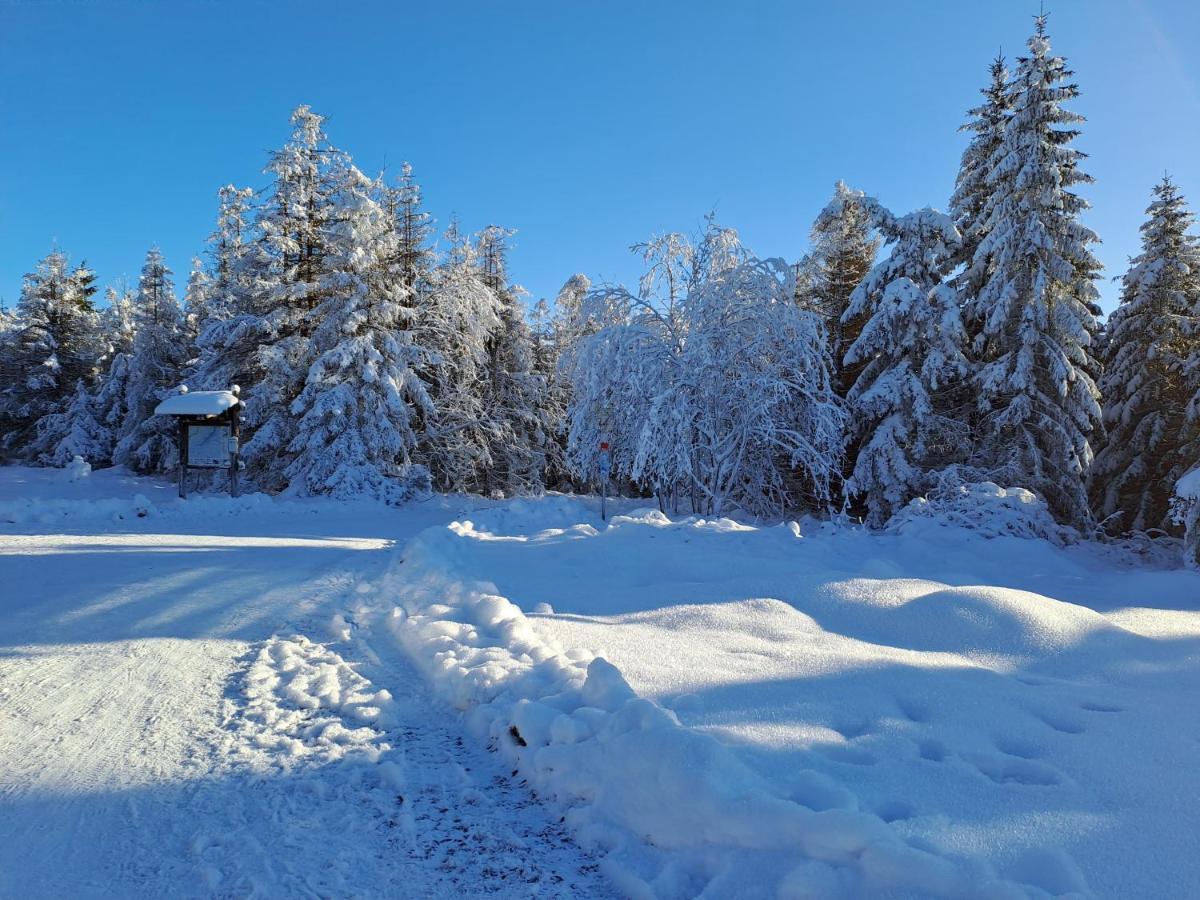 Wohnen Wie Bei Freunden Braunlage Eksteriør billede